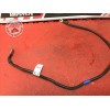 Cable de masse1200S14DL-316-NWTH3-A51352549used