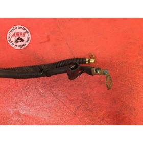 Cable de masse Suzuki GSX-S 1000 2015 à 2020
