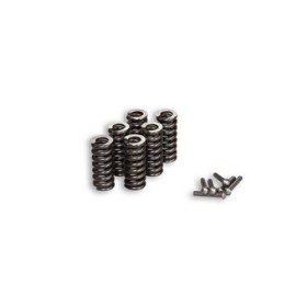 JEU RESSORTS pour FLECTEURS VESPA