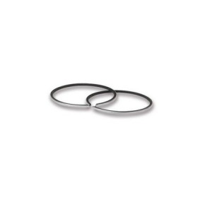 2 SEGMENTS O 44,5x1,5 rectangulaires