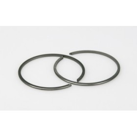 2 SEGMENTS O 43,8x1,5 rectangulaires