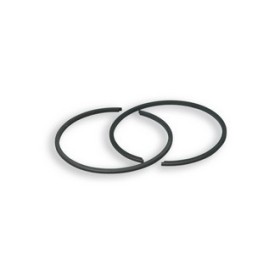 2 SEGMENTS O 46,9x1,5 rectangulaires