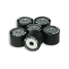 6 HTRoll O 23x18 gr.12 ( 6 Galets 23x18x12 ) Malossi