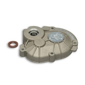 ROLLER CRANCKCASE PIAGGIO