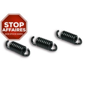 3 RESSORTS pour MAXI DELTA CLUTCH MHR