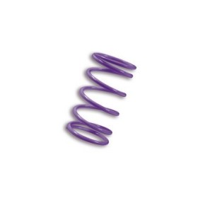 RESSORT DE CONTR.VARIATEUR VIOLET