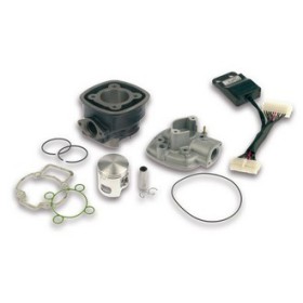 CYLINDRE+CULASSE fonte axeO12 H2O I-TECH