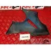 Sabot gauche ER6 06 07 08