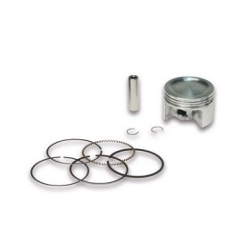 PISTON O 49 C axe O 10 seg.3 rect./racl.