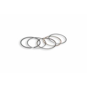 JEU SEGMENTS O 44 1 rect./2 racleurs