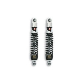 TWINS couple amortisseurs ARRIERES