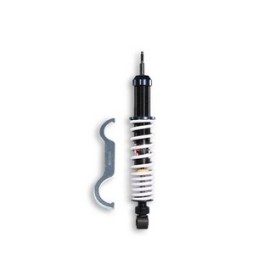 AMORTISSEUR ARRIERE RS24