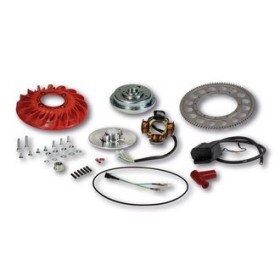 ALLUMAGE VESPOWER CONE Diam.20 - VOLANT Kg. 1,2