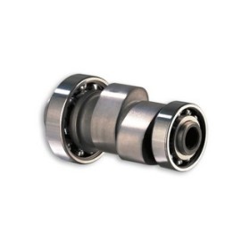  [1] POWER CAM arbre a cames 