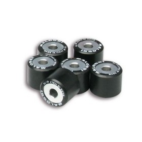 6 HTRoll O 20x17 gr.11,5 ( 6 Galets 20x17x11,5 ) Malossi