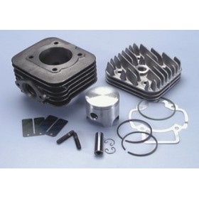 BLOC CYL.PIAGGIO SFERA-ZIP-FREE 50 D.47