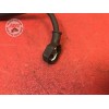 Cable de masseMT09SP22GH-885-ZETH2-C21356309used