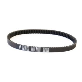 Courroie ATHENA 24x10,5x893. 30°