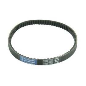 Courroie ATHENA 18,5x8,1x830