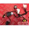 Faisceau d'injection RSV4 09 10 11