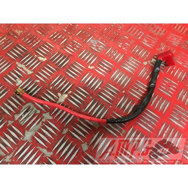 Cable de batterieSTREET67514DD-919-YVH2-C6546569used