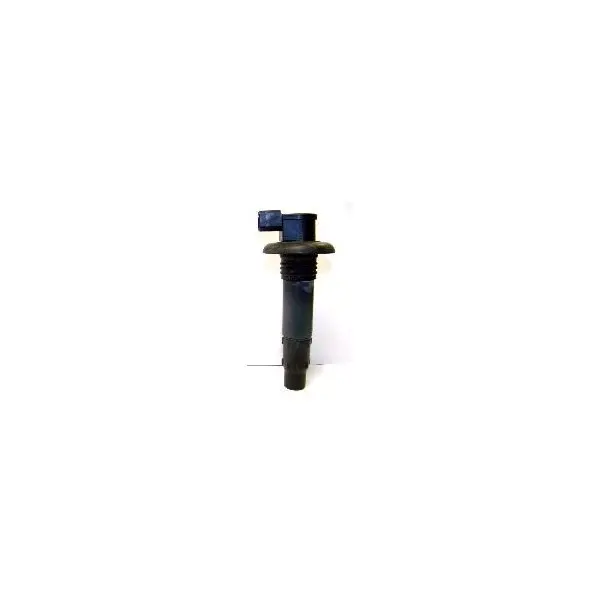 Bobine d'allumage WSM