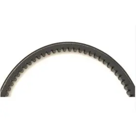 Courroie standart B1 Piaggio 