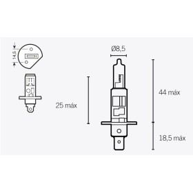 Ampoule V PARTS H1