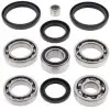 Kit roulements & joints de différentiel arrière ALL BALLS Arctic Cat/Kymco