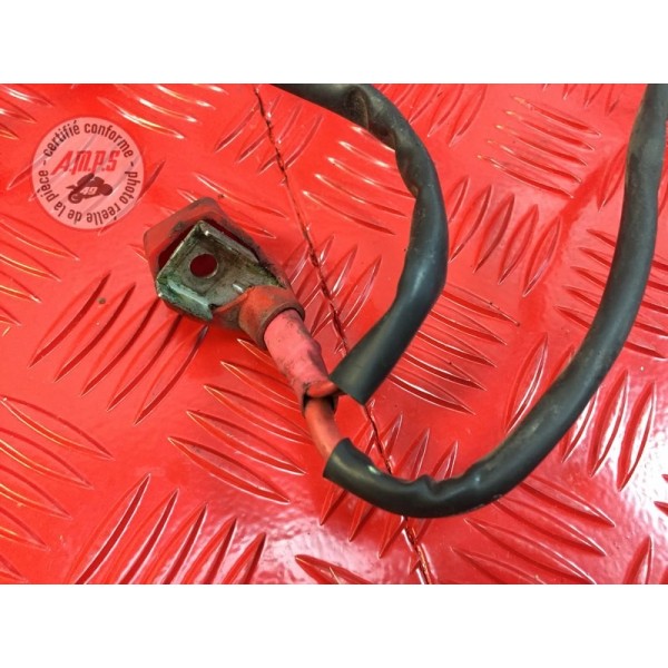 Cable de batterie avec porte fusibleTUONO06CD-523-TXB6-B51358853new