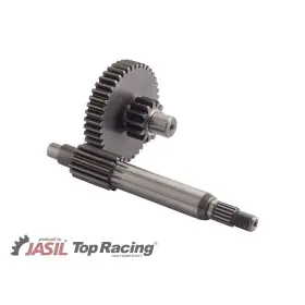 Engrenages JASIL 13/43-13 MBK 