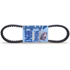 Courroie Polini standard Honda 