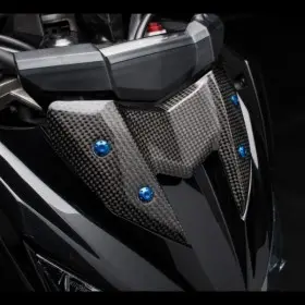 Carter de compteur LIGHTECH