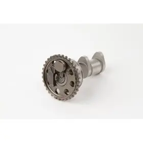 Arbres à cames échappement 