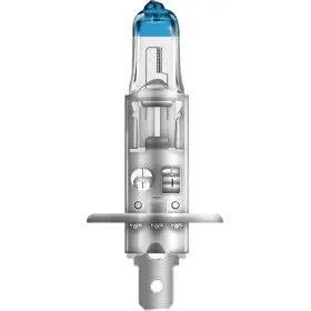 Ampoule OSRAM H1 Night 