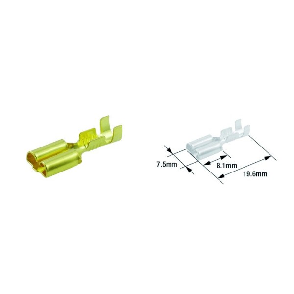 Cosse femelle électrique TOURMAX 