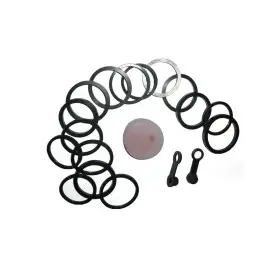 Kit de réparation étrier 