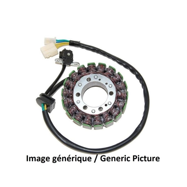 Stator ELECTROSPORT BMW G650 