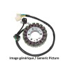 Stator ELECTROSPORT BMW G650 