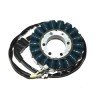 Stator ELECTROSPORT Honda CBR900RR 