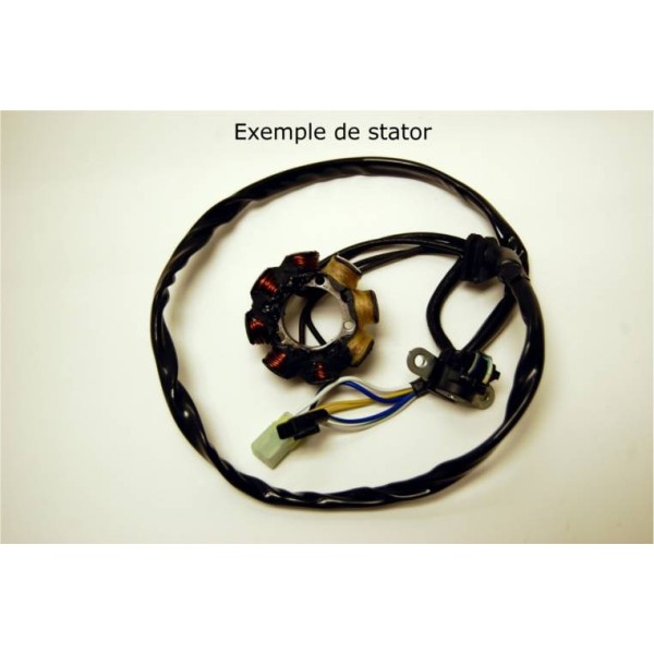 Stator ELECTROSPORT Suzuki RM125/250 