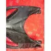 Carénage Aprillia 50 RS- pièce moto occasion