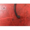 Clignotants arrière gaucheGSXR130010BB-295-HEH8-E31365653used