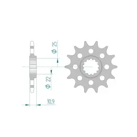 Pignon AFAM 13 dents 