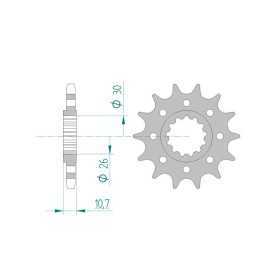 Pignon AFAM 15 dents 