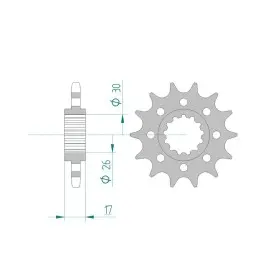 Pignon AFAM 16 dents 