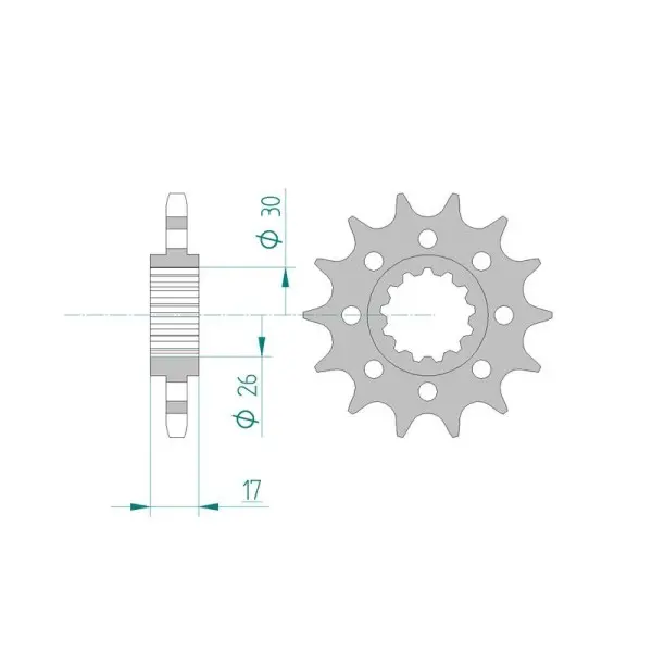 Pignon AFAM acier standard 20615 - 525