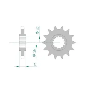 Pignon AFAM 16 dents 