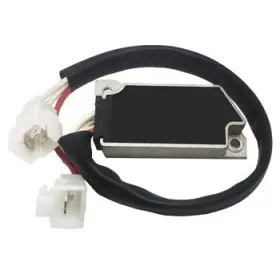 Régulateur TECNIUM type origine 