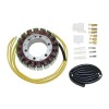 Stator ELECTROSPORT Honda XL1000 